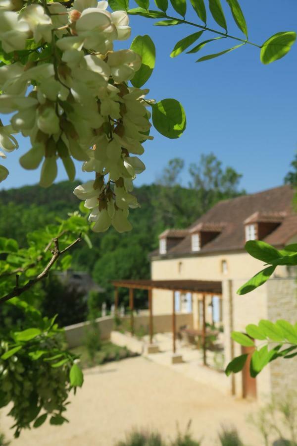 Maison Du Cedre Auriac-du-Périgord Kültér fotó